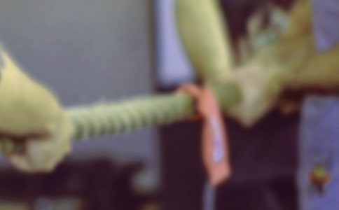 記一次拔河小學作文
