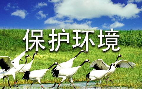 小學(xué)保護環(huán)境作文
