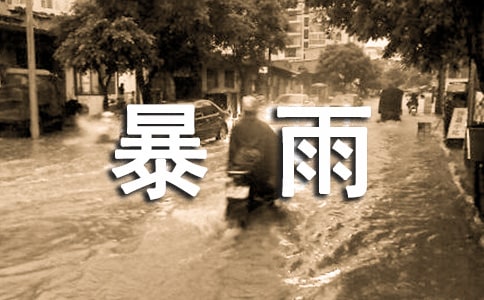 暴雨二年級(jí)作文