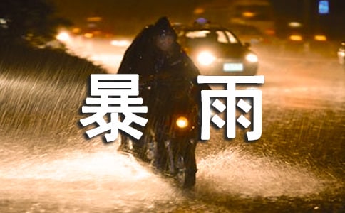 暴雨小學(xué)作文8篇