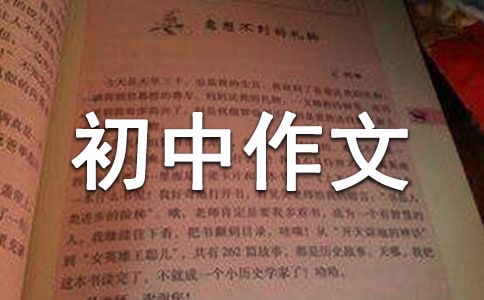 我是小小推銷員初中作文