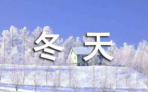 茑4003ƪ()