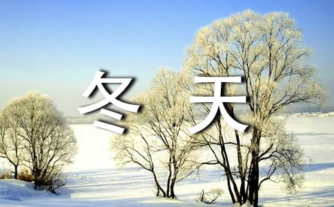xĶ꼉(j)ƪ