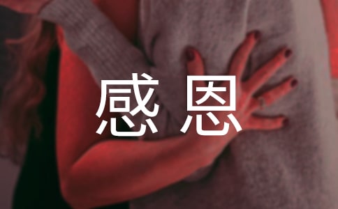 感恩的母親的作文300字