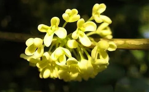 СW(xu)(ͨ15ƪ)