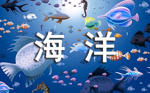 實(shí)用的海洋作文300字錦集六篇