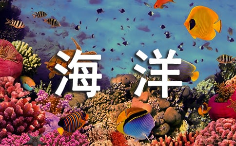 ؂䡿300օRƪ
