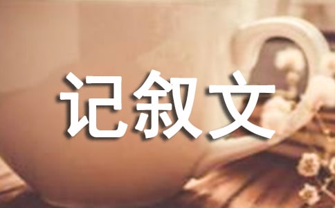 ]ӛ300ֺϼƪ
