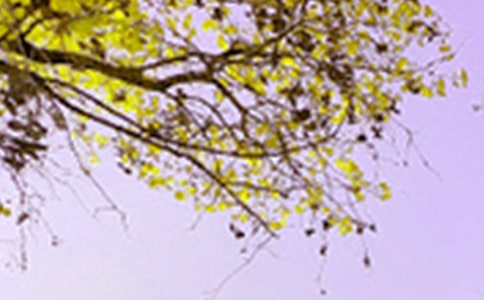 ؂䡿ɫ3004ƪ