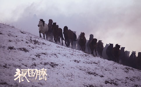 《狼圖騰》讀后感