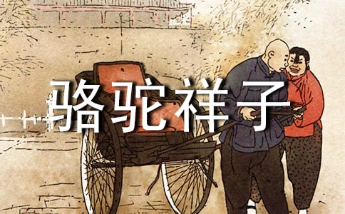 《駱駝祥子》讀后感[常用15篇]