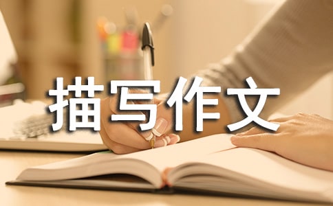 茑ļƪ