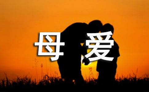 精選母愛的作文300字四篇