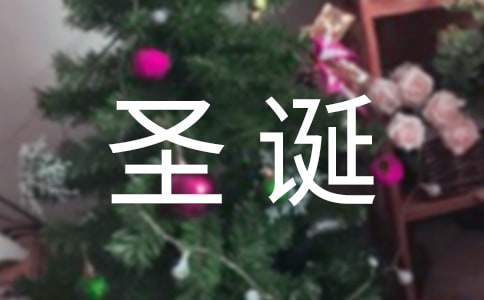 【精華】圣誕節(jié)的作文300字合集八篇