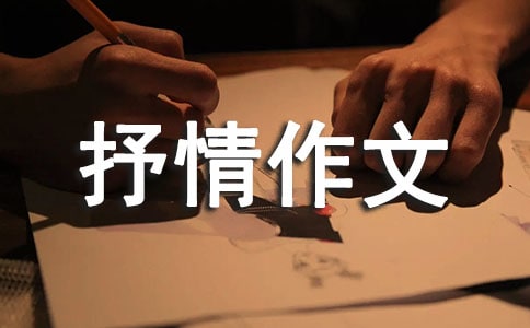 小學(xué)抒情作文：松樹