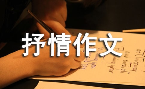 【精華】抒情作文300字3篇