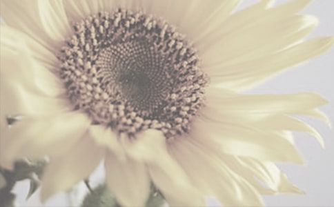 ̫ꖻģx5ƪ