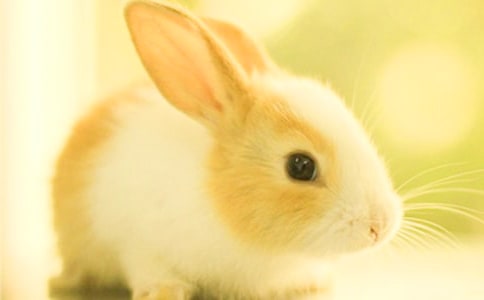 A꼉ӵƪ