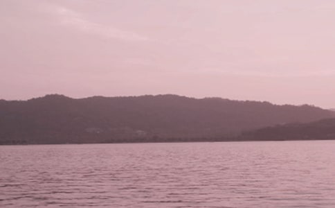 【推薦】西湖游記作文7篇