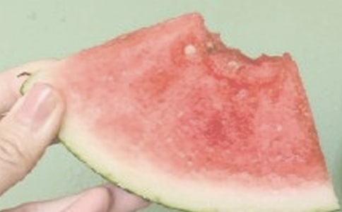 夏日即景作文（精選15篇）