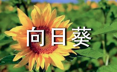 關(guān)于向日葵初中作文集錦八篇
