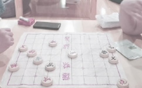 象棋的作文600字(實用)