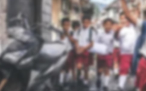 【精華】愛國小學(xué)生作文10篇