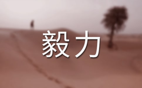毅力小學生作文