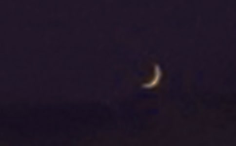 ģx29ƪ