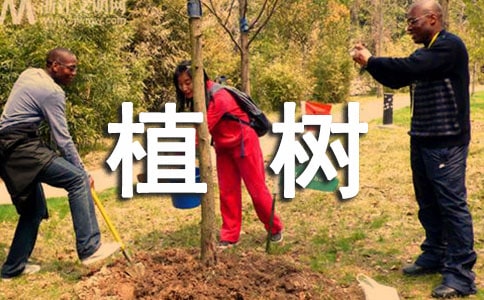 植樹三年級作文素材
