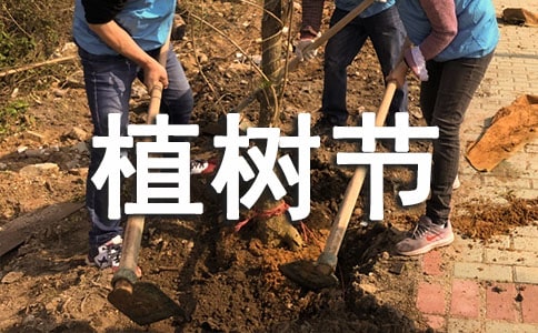 植樹節(jié)小學(xué)作文(集錦15篇)
