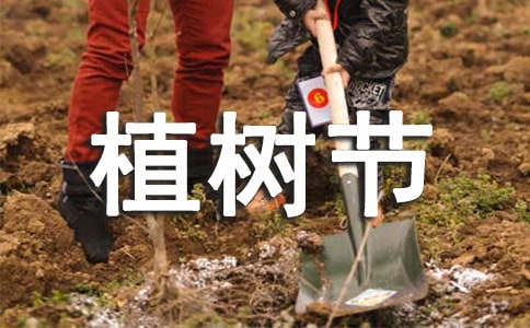 小學(xué)生植樹(shù)節(jié)的作文15篇