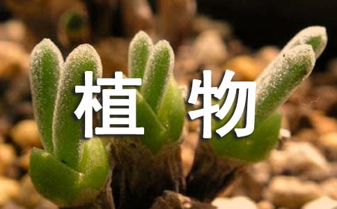 ҵֲѺɻ꼉(j)ģx72ƪ