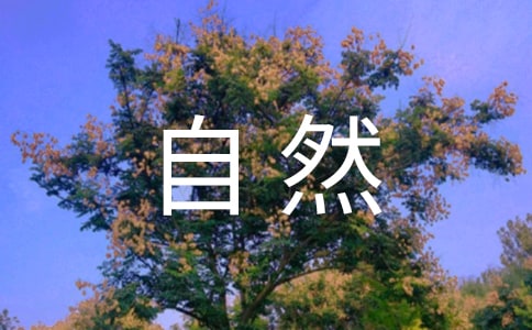 Ȼ3003ƪϼ